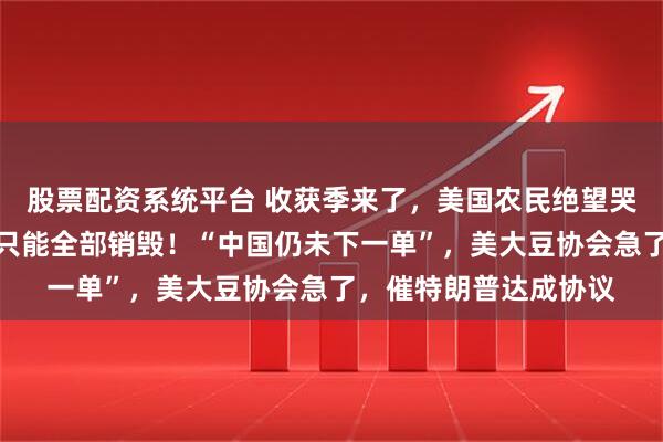股票配资系统平台 收获季来了，美国农民绝望哭诉：中国不买了，我只能全部销毁！“中国仍未下一单”，美大豆协会急了，催特朗普达成协议