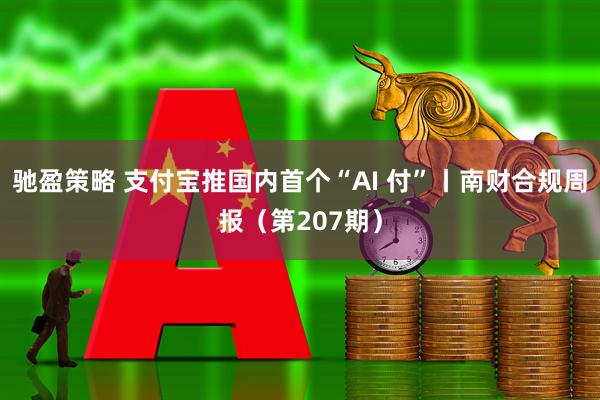 驰盈策略 支付宝推国内首个“AI 付”丨南财合规周报（第207期）