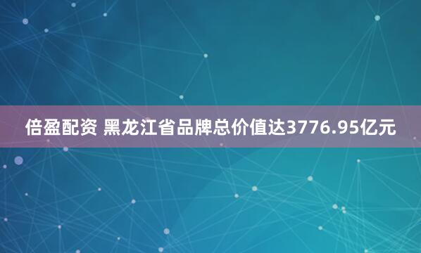 倍盈配资 黑龙江省品牌总价值达3776.95亿元
