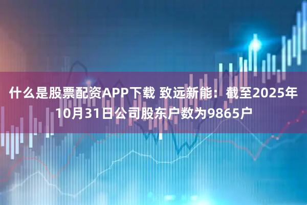 什么是股票配资APP下载 致远新能：截至2025年10月31日公司股东户数为9865户